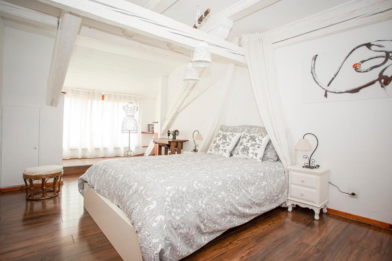 Le Grenier Du Photographe Apartment Kaysersberg-Vignoble Exterior photo